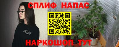 спиды Кинель