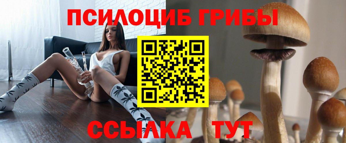 Псилоцибиновые грибы мицелий  Вход с VPN  Псилоцибиновые грибы GOLDEN TEACHER  Краснодар 